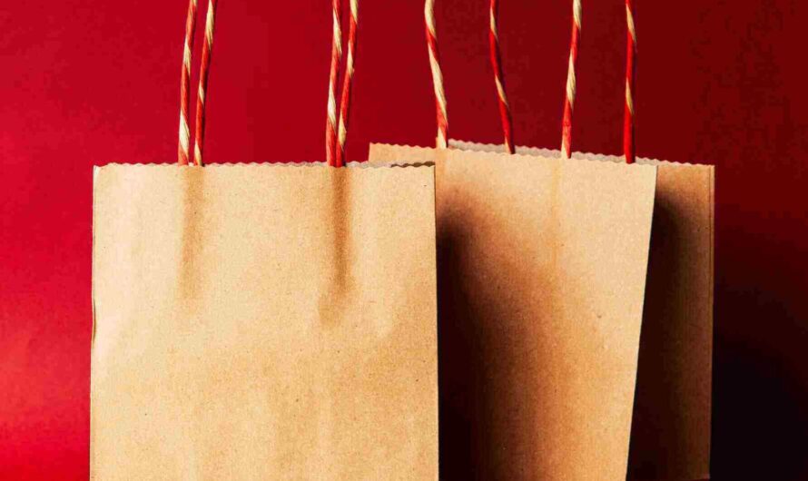 How to Start Paper Bag making Business 2023: पेपर बैग बनाने का व्यापार